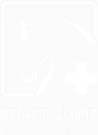 Kent Equine Hospital
